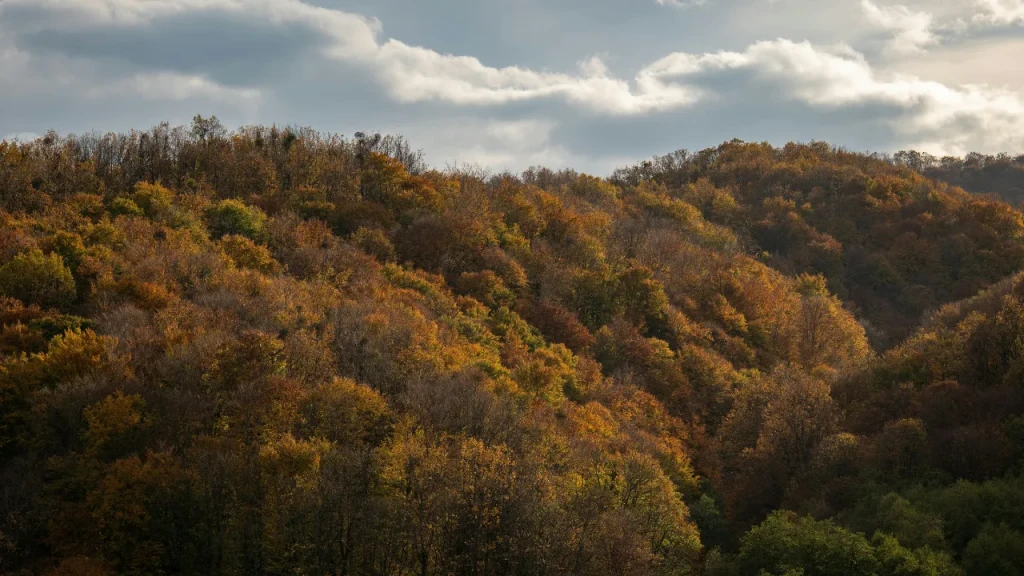 Autumn in Croatia